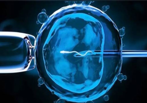 成都三代试管助孕：产后紧致腹部的最佳方法，分享这五个瘦腹秘籍